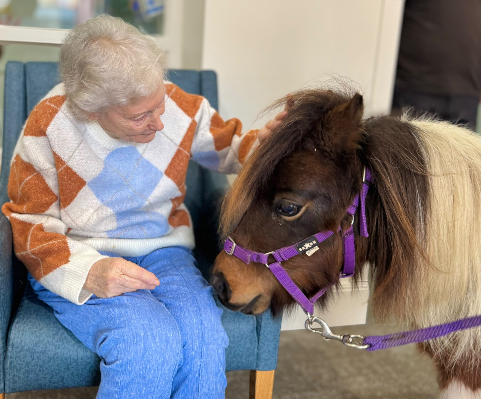 A close gentle interaction with Peanut at an aged-care home
