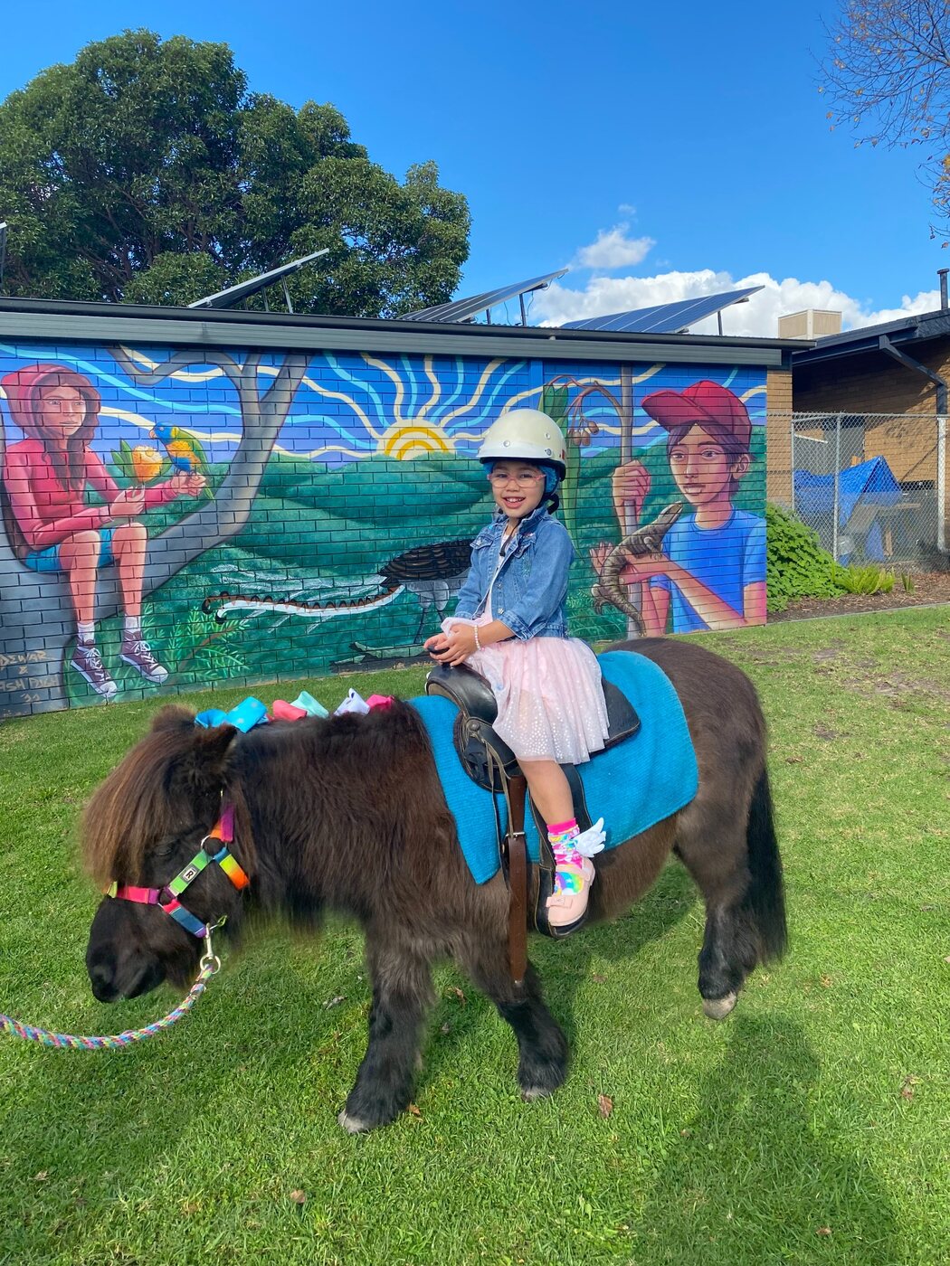 A child enjoying a ride on a colourfully decorated miniature pony