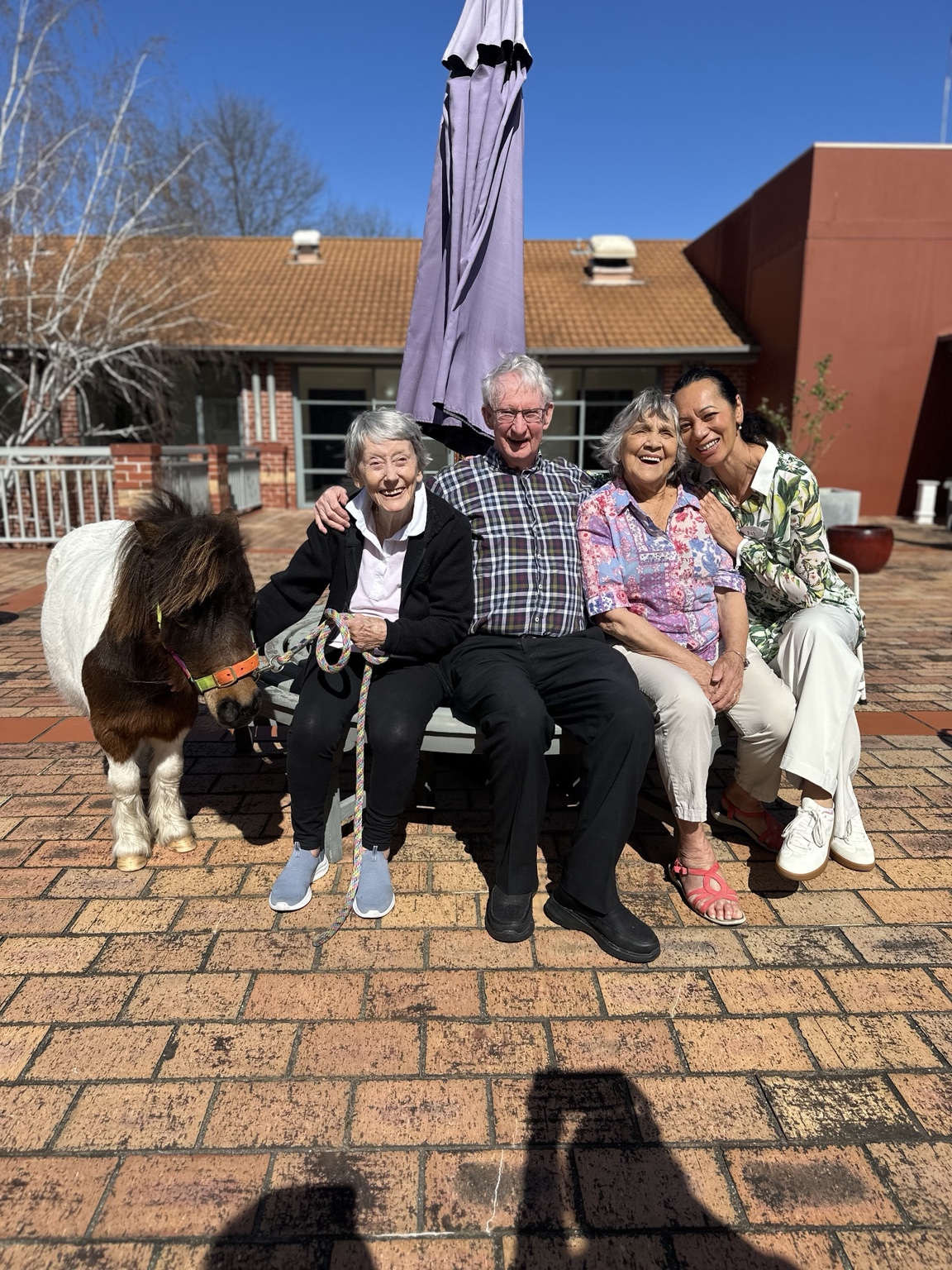Residents and carers smiling with a miniature pony outdoors
