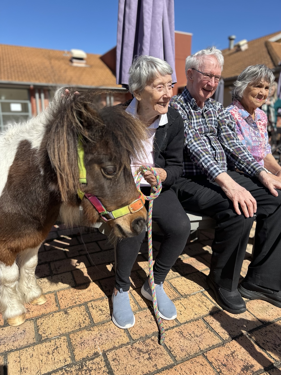 An aged-care resident enjoying a close visit with a miniature pony