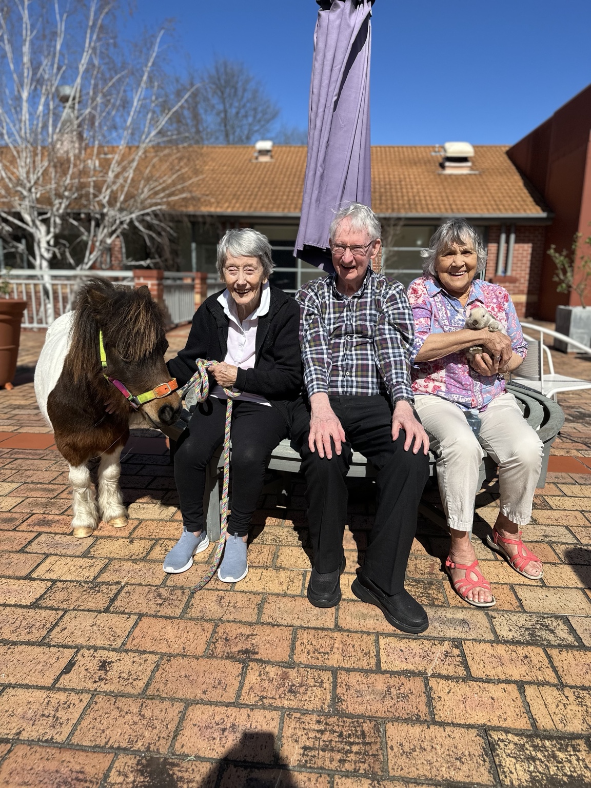 A group of residents sharing a supervised pony interaction