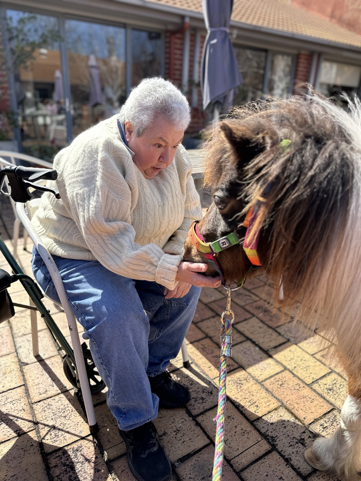 A resident sharing a gentle moment with a miniature pony
