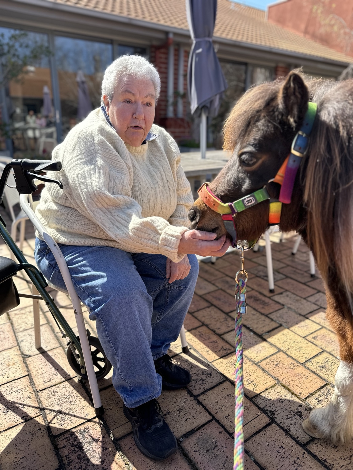 A smiling resident feeding a miniature pony by hand
