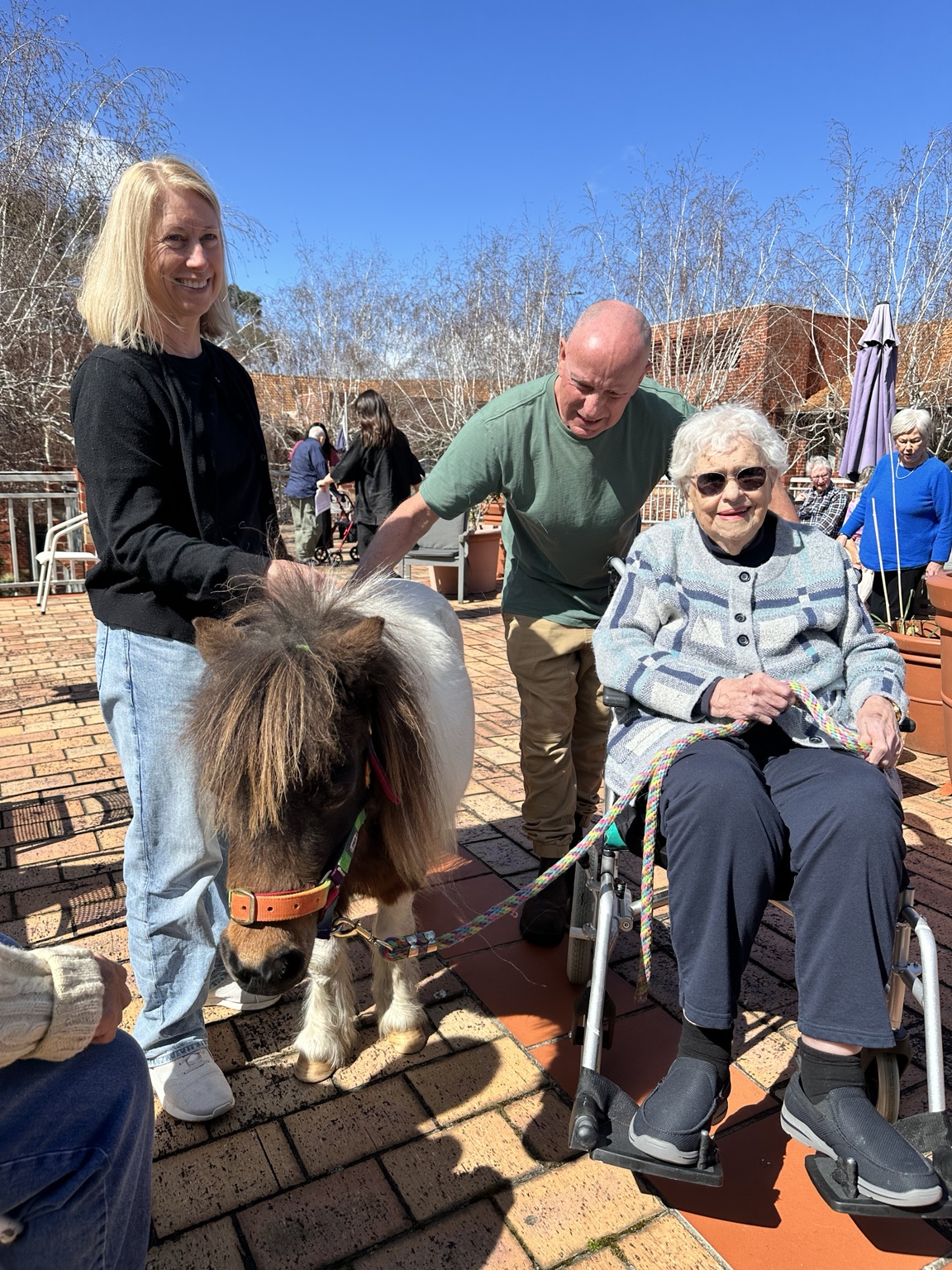 A supported resident enjoying a calm pony interaction