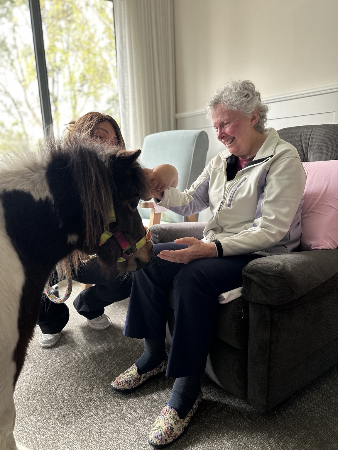 A miniature pony visiting a resident in a lounge area